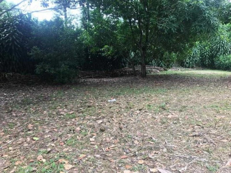 Terreno en Venta en Sabana Larga Atenas, Alajuela