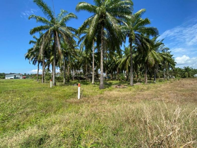 Terreno en Venta en Los Ángeles Parrita, Puntarenas