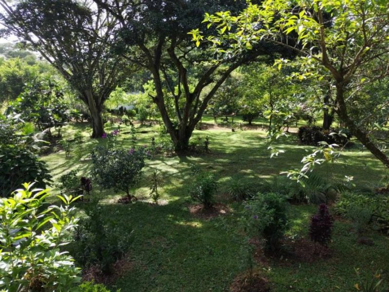 Finca en Venta en Barrio Fatima Atenas, Alajuela