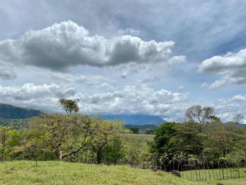 Finca en Venta en Escobal Atenas, Alajuela