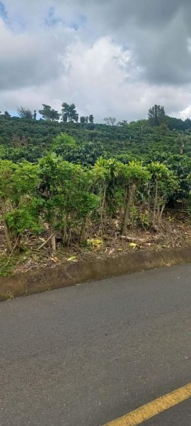 Finca en Venta en Concepción San Rafael, Heredia