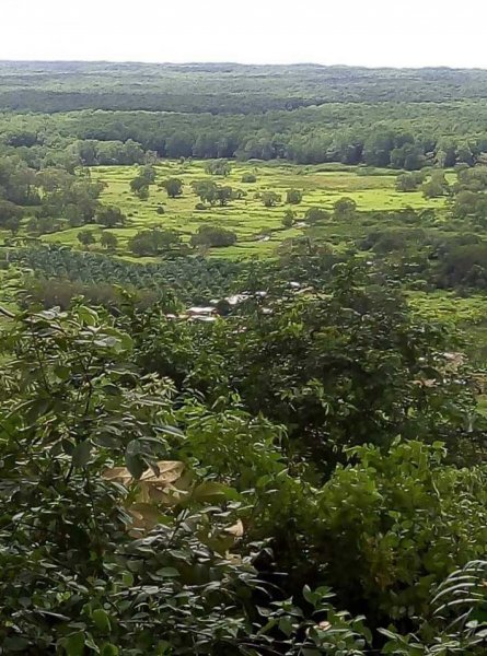 SE VENDE ESPECTACULAR FINCA EN OSA, CIUDAD CORTÉS, PUNTARENAS.