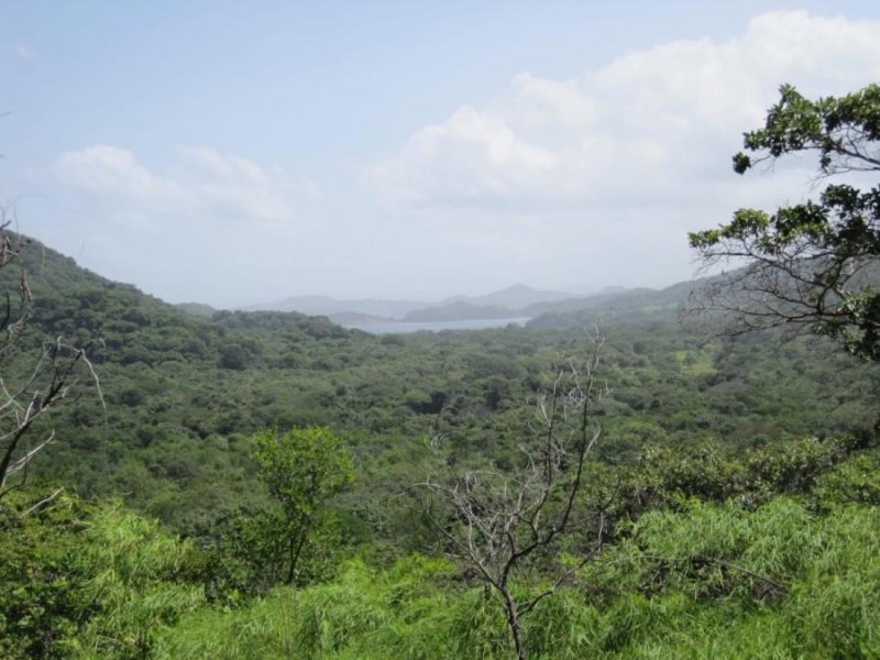 Se Vende Espectacular Finca en Santa Cruz, Guanacaste