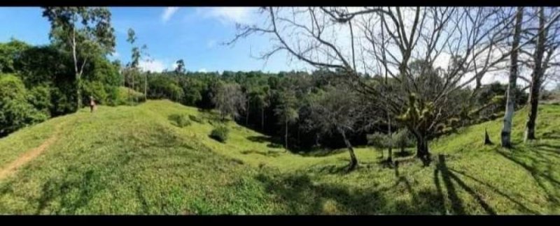 SE VENDE ESTA BELLEZA DE FINCA EN LIMÓN, COSTA RICA.