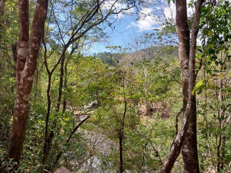 Se vende Finca de Teca en Guanacaste. 782,7 ha con 363ha teca 9 años 150ha 20 años 50ha melina 75ha