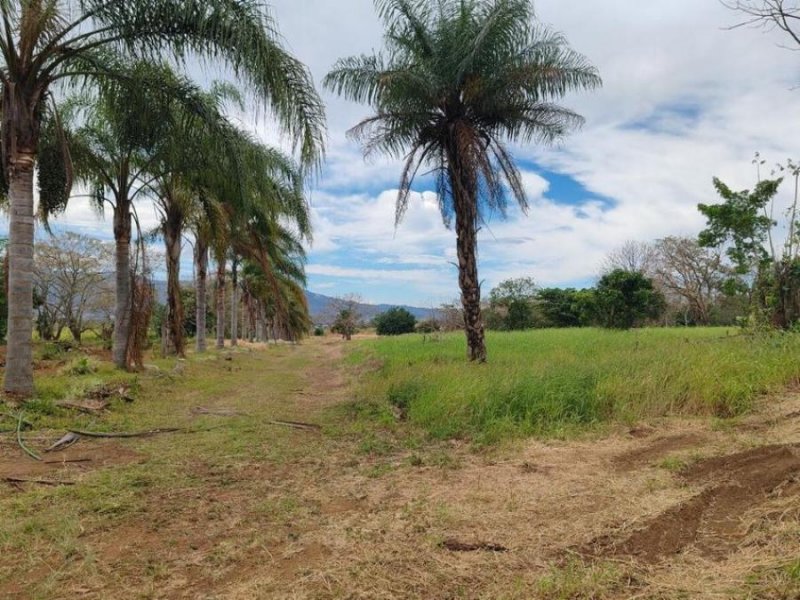 SE VENDE FINCA EN DESAMPARADOS DE ALAJUELA  PBR