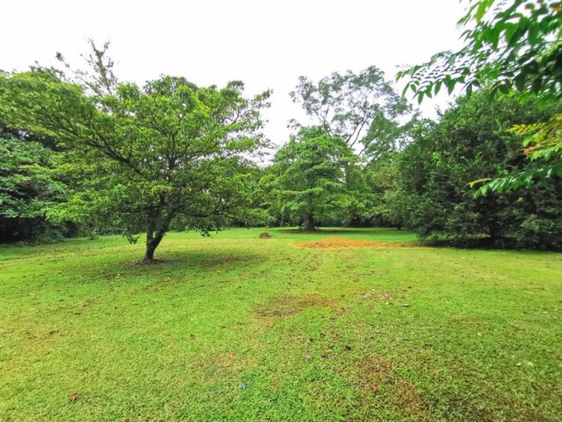 Foto Finca en Venta en Guácimo, Limón - ¢ 60.000.000 - FIV47480 - BienesOnLine