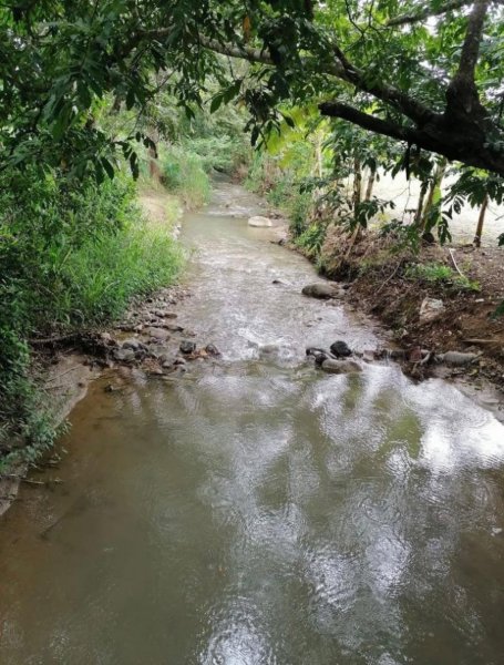 Se vende finca en Puntarenas. 