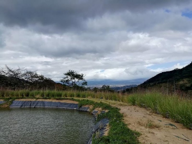 Se vende finca en Salitral de Santa Ana cerca Cruz Roja