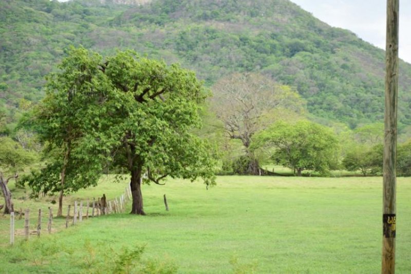 Foto Finca en Venta en Corral de Piedra, Nicoya, Guanacaste - 7 hectareas - U$D 70.000 - FIV7812 - BienesOnLine