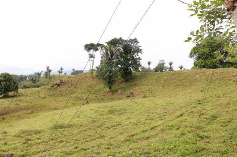 Terreno en Venta en  Pococí, Limón