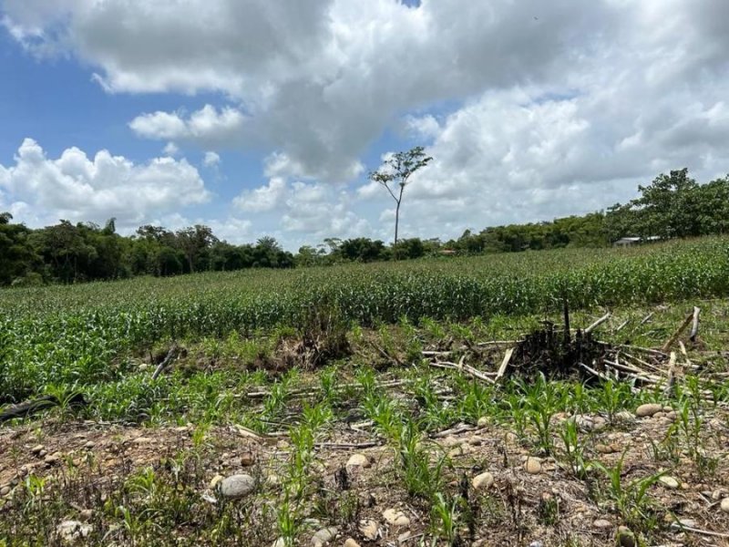 Terreno en Venta en San Bernardino Horquetas, Heredia