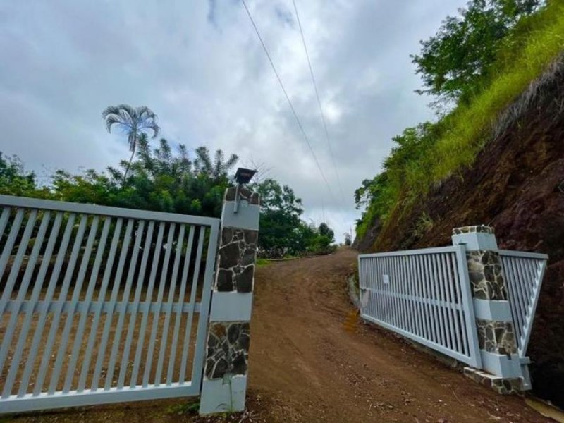 Foto Terreno en Venta en Tárcoles, Garabito, Puntarenas - U$D 2.319.106 - TEV91894 - BienesOnLine