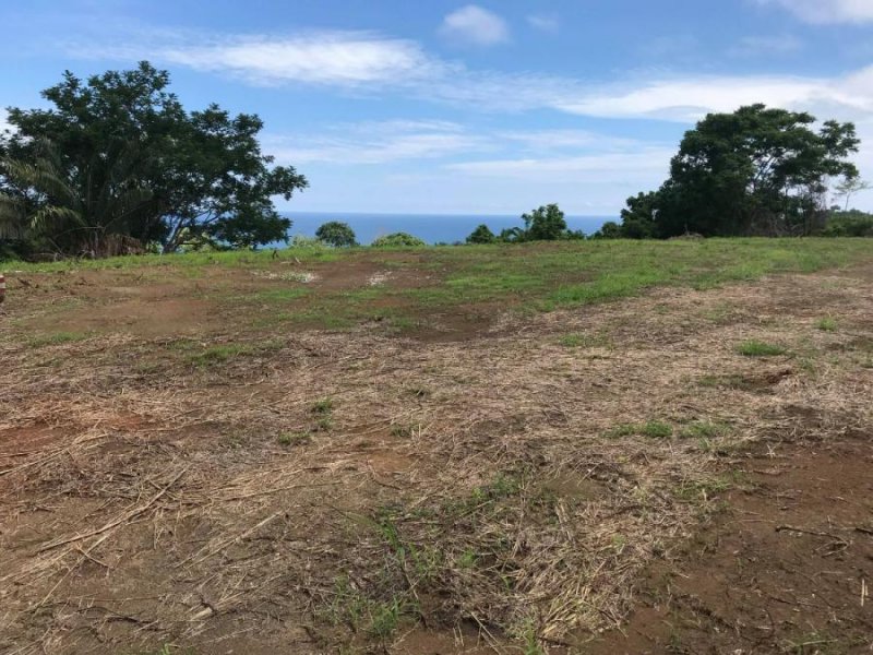 Foto Terreno en Venta en San Miguel, Guanacaste - 2 hectareas - U$D 165.000 - TEV45383 - BienesOnLine