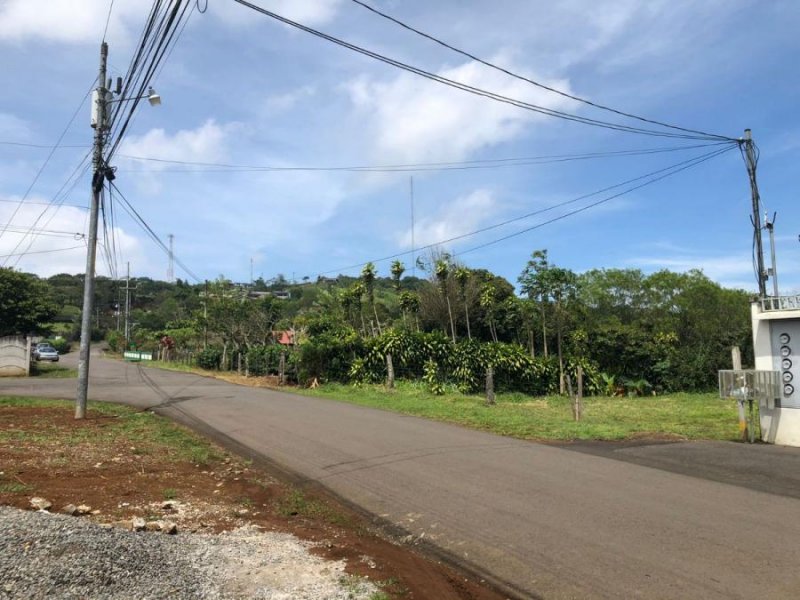 Finca en Venta en  San Ramón, Alajuela