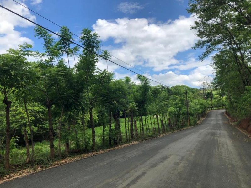 Finca en Venta en puerto carrillo Hojancha, Guanacaste