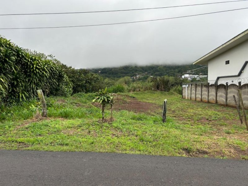 Terreno en Venta en santiago centro San Ramón, Alajuela