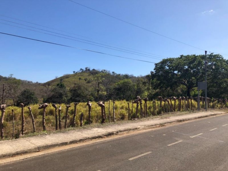 Terreno en Venta en puerto carrillo Hojancha, Guanacaste