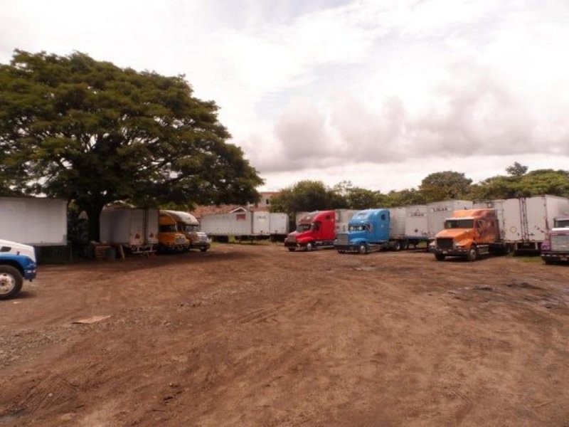 Se vende lote con mas de 13,600m2 en Brasil Santa Ana 23-1518