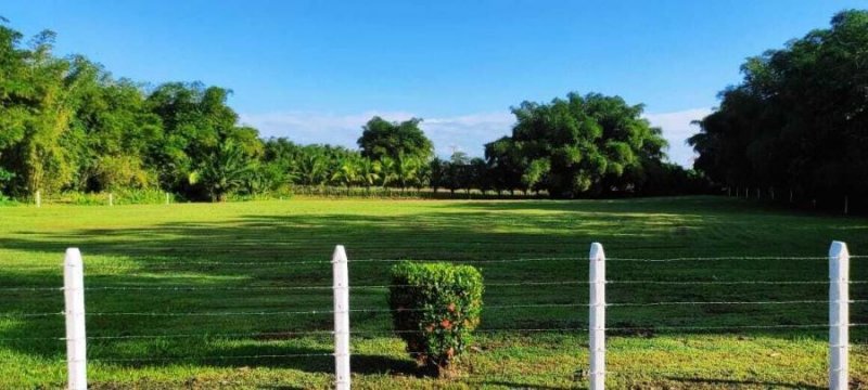 Terreno en Venta en  Sarapiquí, Heredia