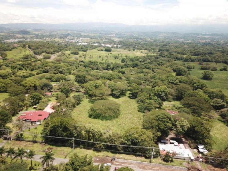 Foto Terreno en Venta en El coyol, Alajuela, Alajuela - U$D 575.000 - TEV80889 - BienesOnLine