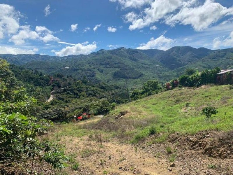 Se vende lote de 4,667m2 en Frailes de Desamparados 25-1335