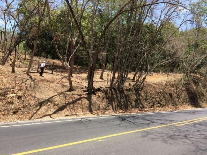 Foto Terreno en Venta en Guanacaste, Guanacaste - ¢ 25.000.000 - TEV50397 - BienesOnLine