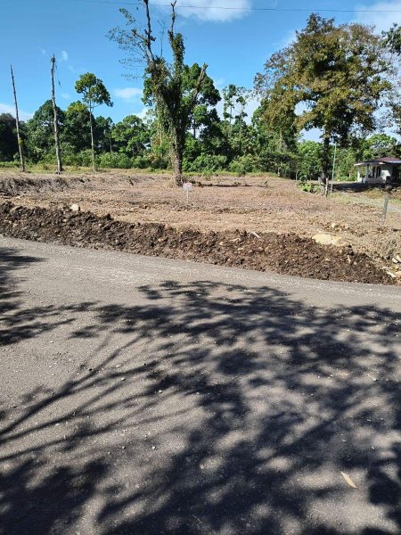 Foto Terreno en Venta en Guapiles, Buenos Aires, Guápiles, Limón - ¢ 23.000.000 - TEV95054 - BienesOnLine