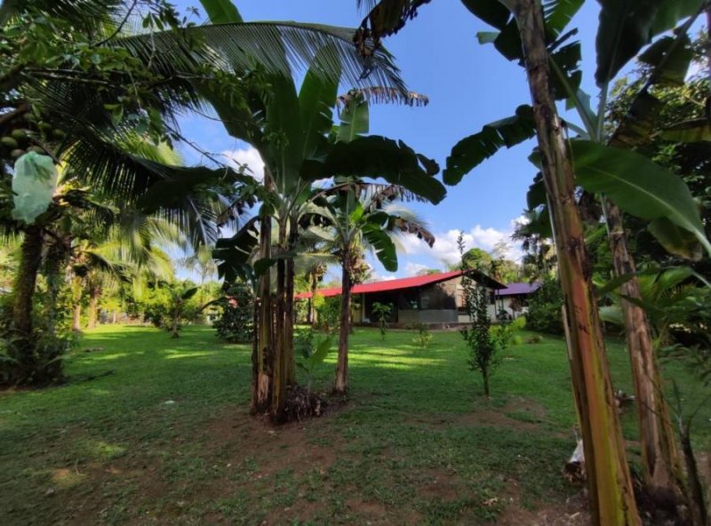 Finca en Venta en  Sarapiquí, Heredia