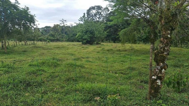 Terreno en Venta en  Sarapiquí, Heredia