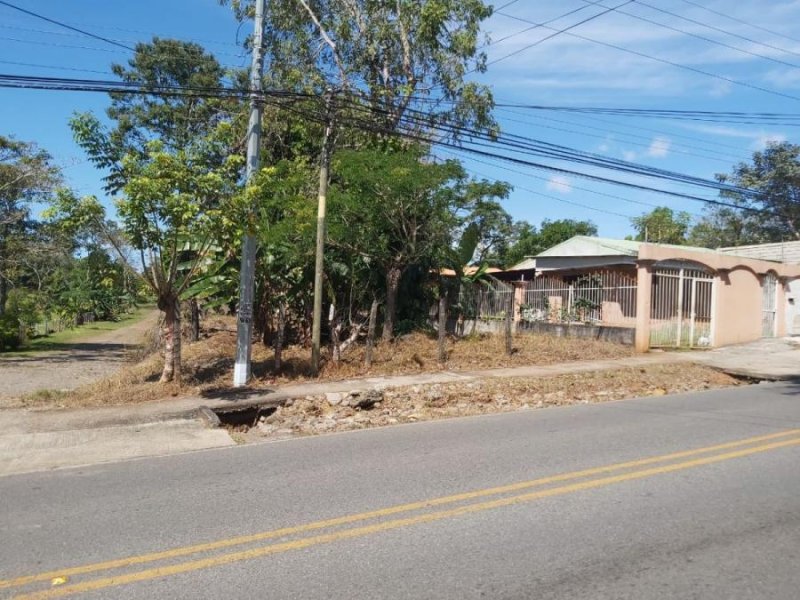 Terreno en Venta en San Isidro de Miramar Montes de Oro, Puntarenas