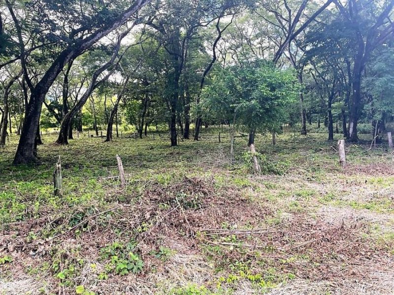 Foto Terreno en Venta en Heredia, Guanacaste - ¢ 30.000.000 - TEV49249 - BienesOnLine