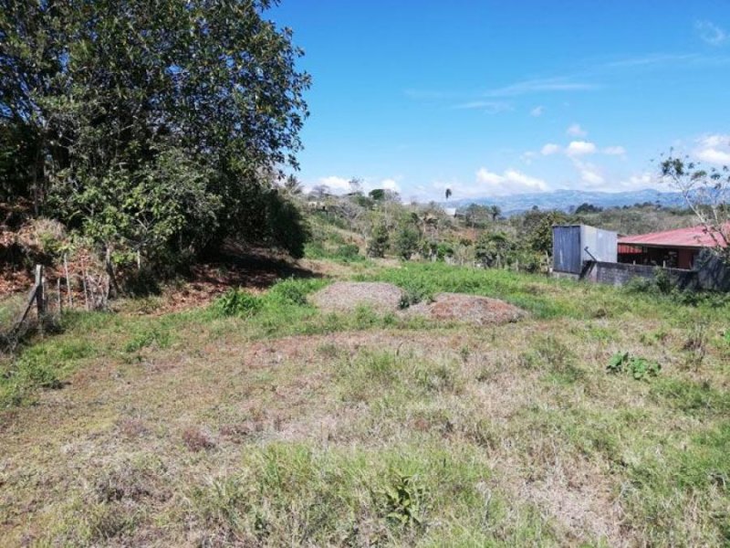 Foto Terreno en Venta en San Ramón, Alajuela - ¢ 60.000.000 - TEV38361 - BienesOnLine