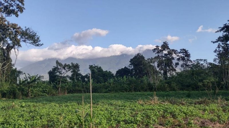 Terreno en Venta en Aguas Claras Upala, Alajuela