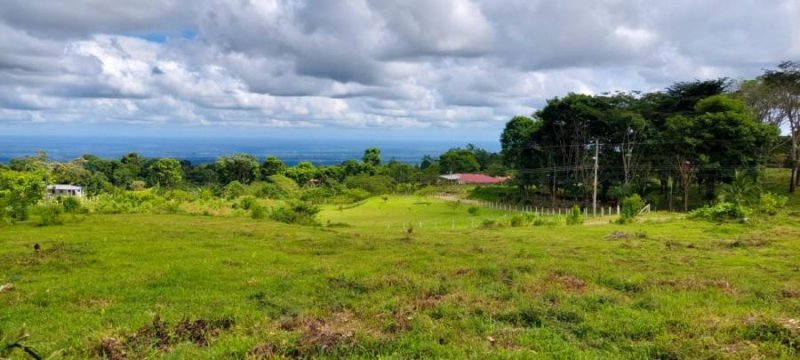 Terreno en Venta en La Alegría Alegria, Limón