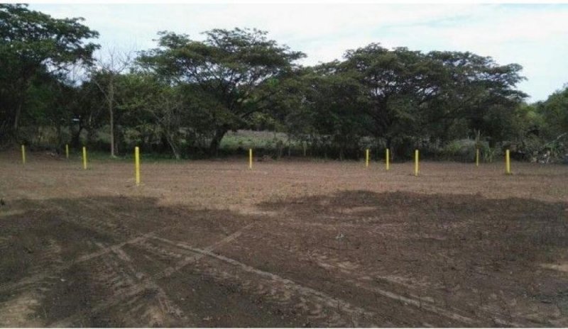 Foto Terreno en Venta en Cañas Dulces, Liberia, Guanacaste - 201 hectareas - ¢ 11.400.000 - TEV113161 - BienesOnLine