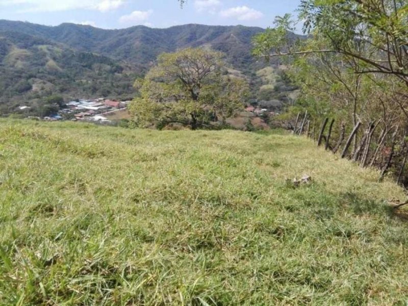 Finca en Venta en Ciudad Colón Mora, San José