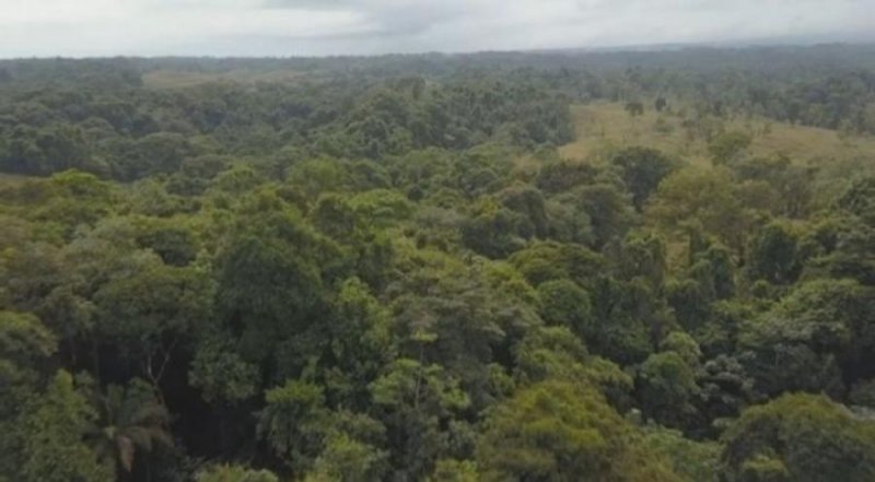 Finca en Venta en La Virgen Sarapiquí, Heredia