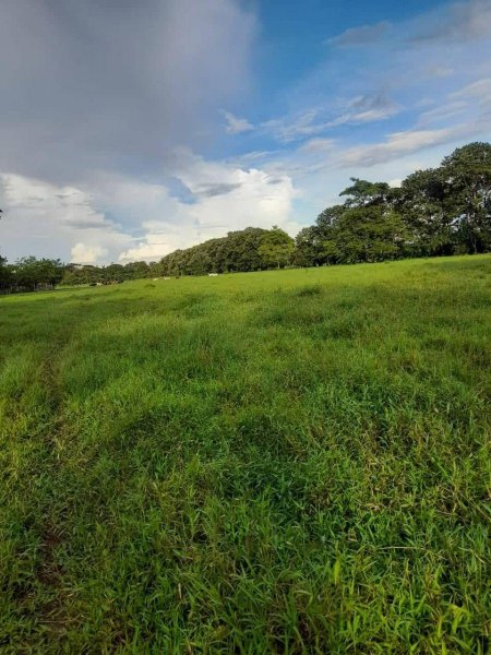 SE VENDE PRECIOSA FINCA GANADERA EN UPALA, ALAJUELA.