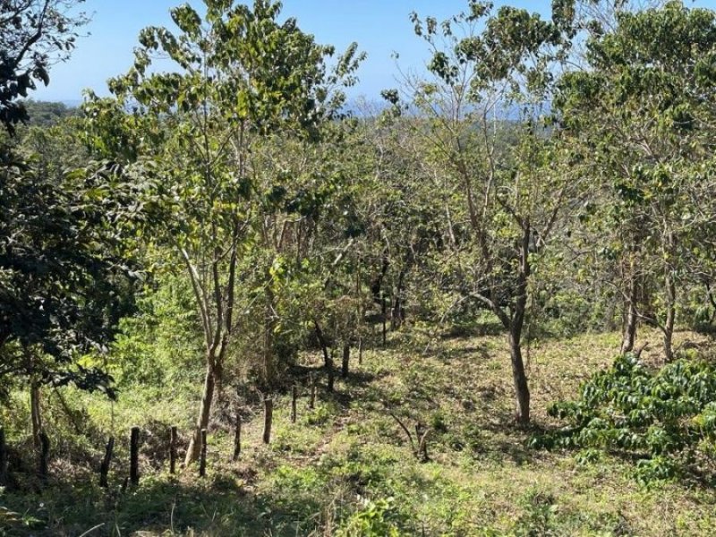 Terreno en Venta en Marbella, Barrio Bollilos Cuajiniquil, Guanacaste