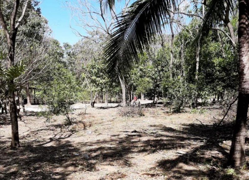 Foto Terreno en Venta en Pijije, Pijije, Guanacaste - ¢ 4.000.000 - TEV39545 - BienesOnLine