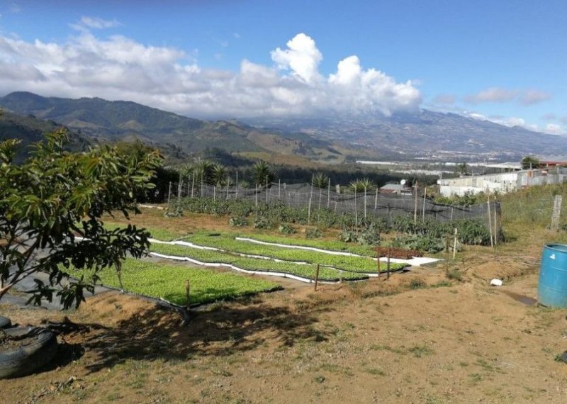 Finca en Venta en Tobosi Tobosi, Cartago