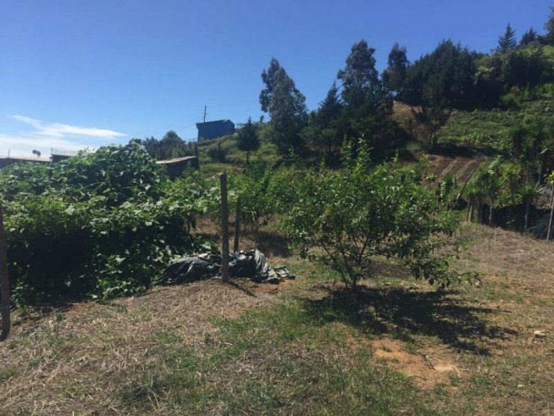 Terreno en Venta en  Tobosi, Cartago