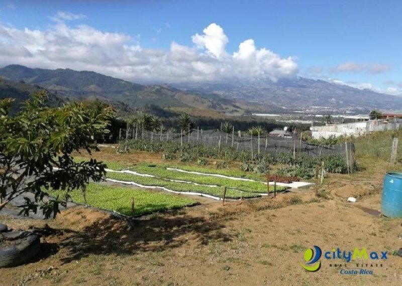 Finca en Venta en  Tobosi, Cartago