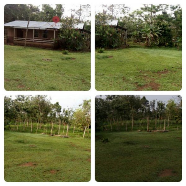 Foto Finca en Venta en San Carlos, Alajuela - ¢ 40.000.000 - FIV13180 - BienesOnLine