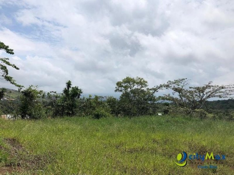 Foto Terreno en Venta en San Ramon, Alajuela - ¢ 45.000.000 - TEV81098 - BienesOnLine