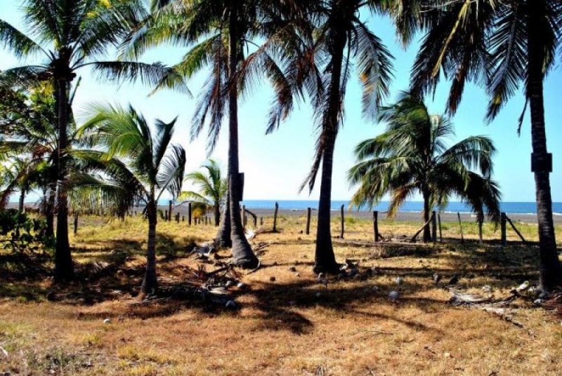 Terreno en Venta en  Jaco, Puntarenas