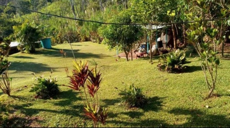 Finca en Venta en  Tabarcia, San José