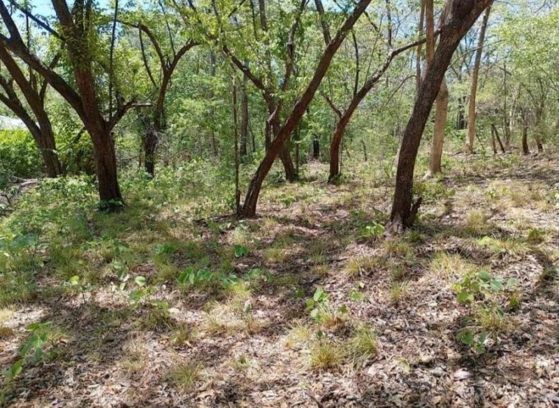 Terreno en Venta en Belén Carrillo, Guanacaste