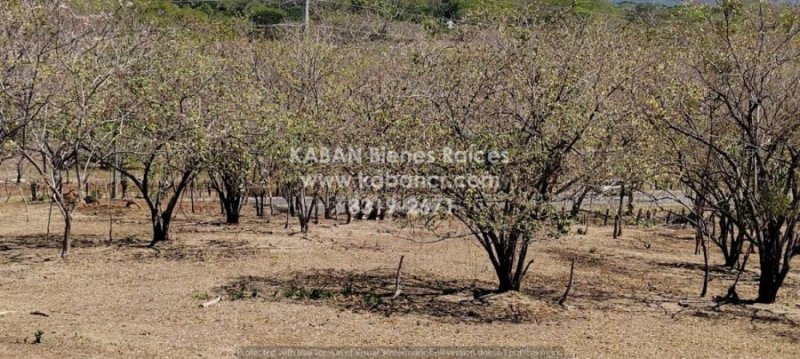 Foto Terreno en Venta en Monte Grande, Santa Cruz, Guanacaste - U$D 60.000 - TEV92428 - BienesOnLine